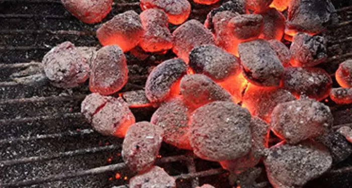 Charcoal Briquettes Indonesia