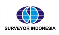 Surveyor